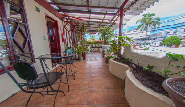 Media Luna Suite