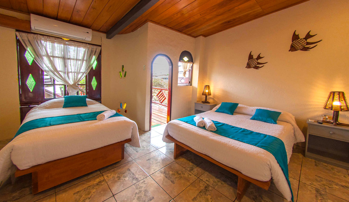Ninfas Suite