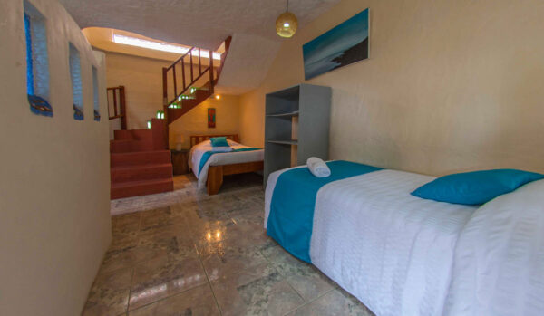 Ninfas Suite