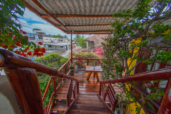 Ninfas Suite